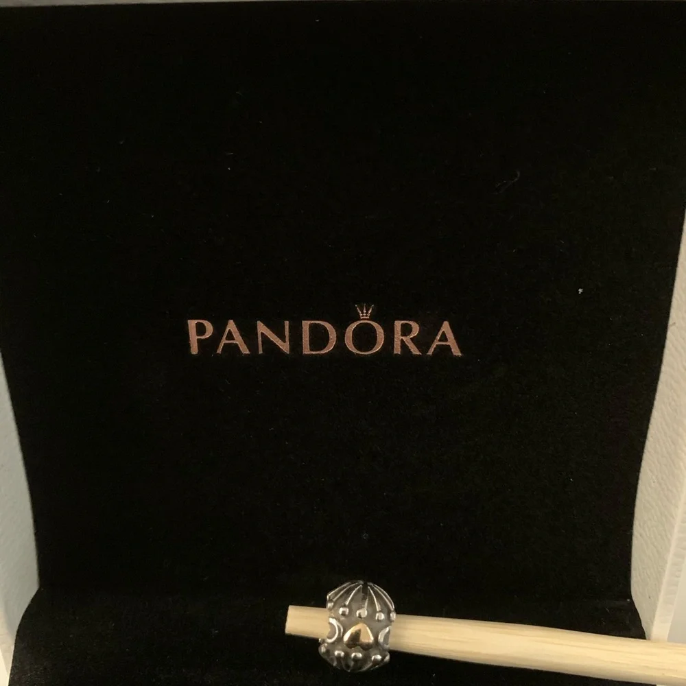 Authentic PANDORA Love and Hugs Charm Bead
